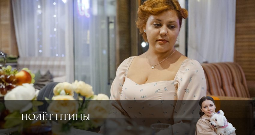 Сериал Полёт птицы (1 сезон, 2 серия) смотреть онлайн