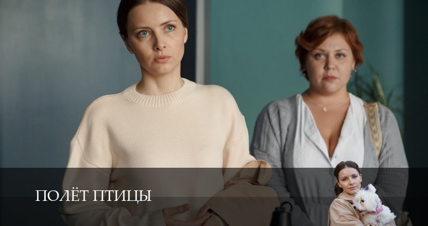 Смотреть фильм Полёт птицы бесплатно