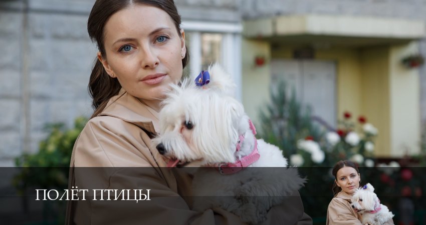 Полёт птицы (1 сезон, 2025) смотреть бесплатно онлайн