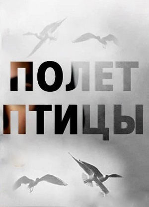 Смотреть сериал Полёт птицы (2025) 1 сезон онлайн в высоком качестве HD