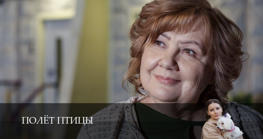 Смотреть сериал Полёт птицы 1 сезон 7 серия бесплатно и без рекламы