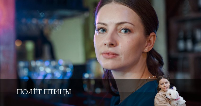 Полёт птицы (2025) 1 сезон 8 серия смотреть онлайн без рекламы и регистрации