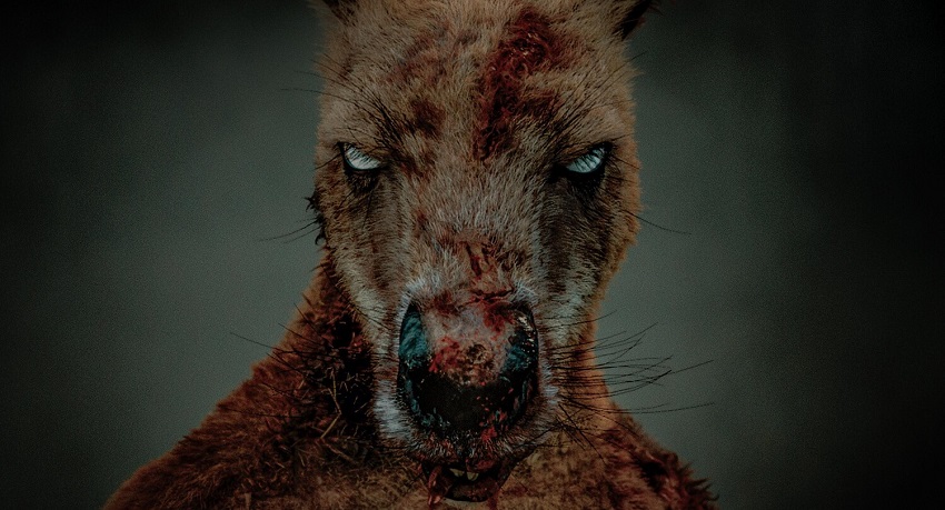 Фильм Хищник. Дожить до рассвета (2024) (2025) смотреть бесплатно в хорошем качестве