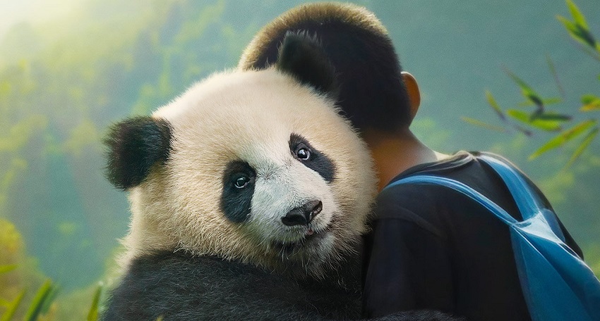 Моя панда (2025) (Франция) 2025 смотреть онлайн в хорошем качестве