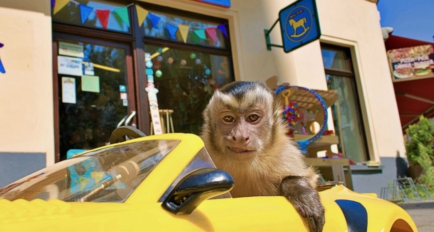 Побег из зоопарка (2024) (Германия) смотреть в хорошем качестве