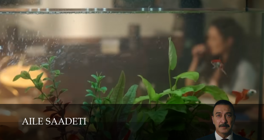 Семейное счастье / Aile Saadeti (2025) 1 сезон 17 серия смотреть онлайн без рекламы