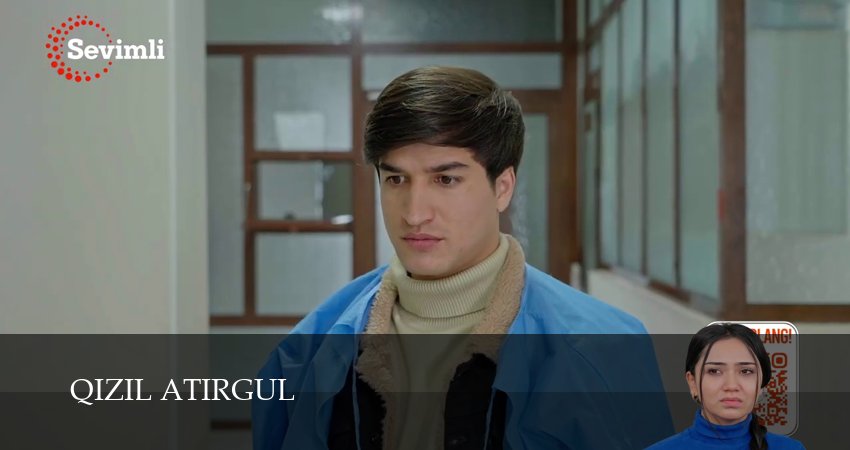 Сериал Qizil atirgul (2025) 1 сезон 47 серия в 4K UHD и HD смотреть онлайн бесплатно