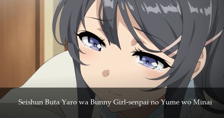 Этот глупый свин не понимает мечту девочки-зайки 2 сезон 7 серия смотреть онлайн на телефоне бесплатно