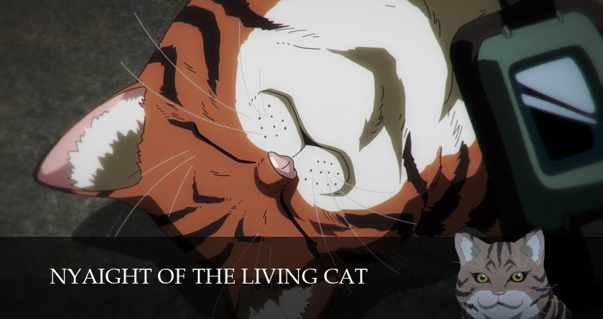 Ночь живых кошаков 1 сезон 1 серия смотреть бесплатно в хорошем качестве