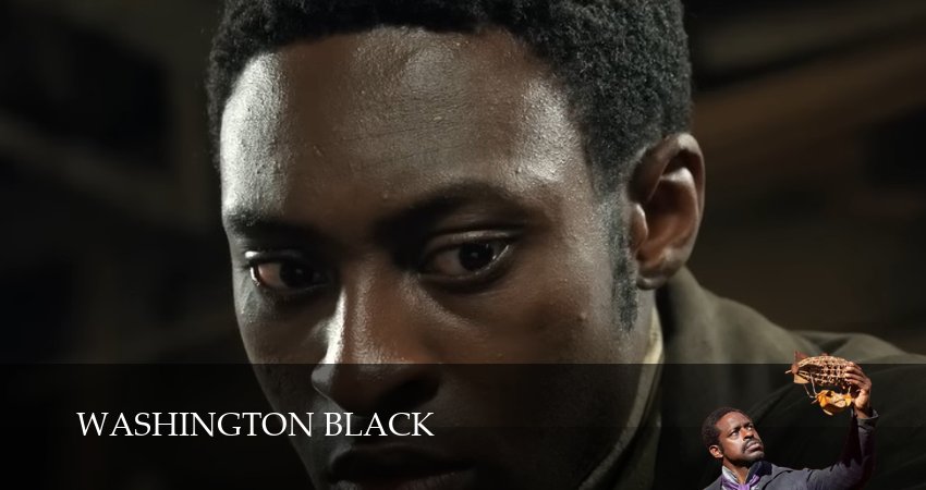 Смотреть Вашингтон Блэк 1 сезон 9 серия онлайн бесплатно без смс