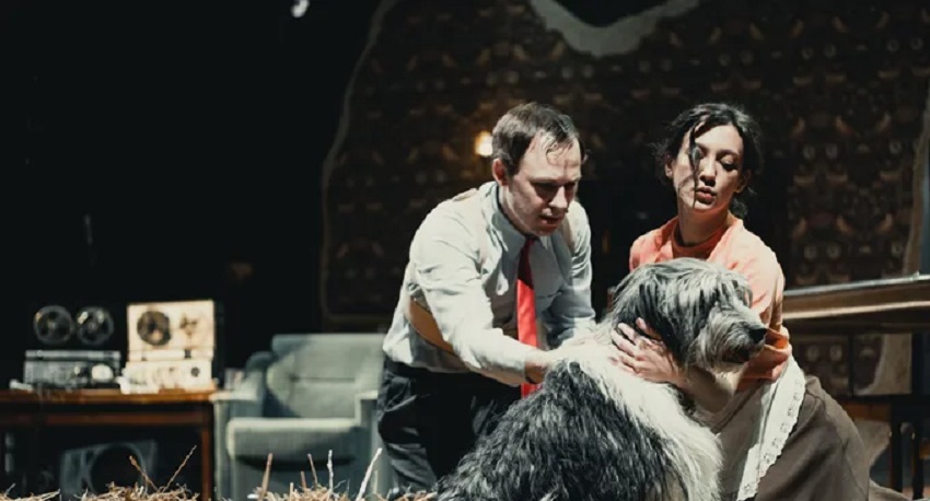 TheatreHD: Собачье сердце (2025) (Россия) смотреть онлайн в качестве 4K