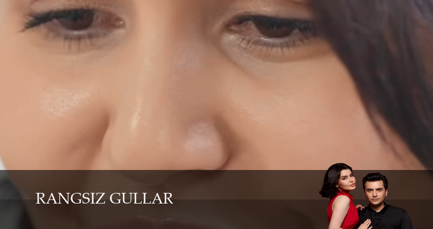 Rangsiz gullar 1 сезон 3 серия смотреть онлайн на телефоне бесплатно