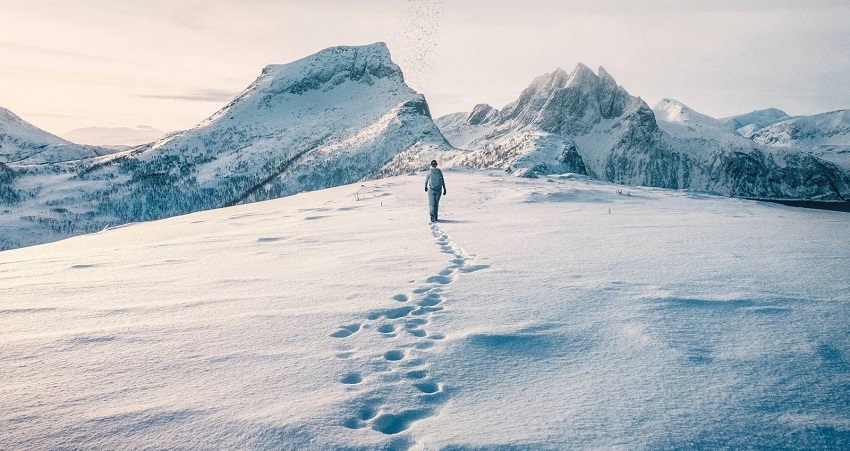Фильм На высоте страха (2025) смотреть онлайн без рекламы