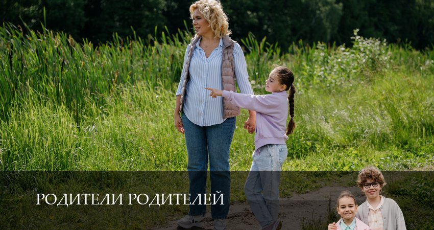 Родители родителей 2 сезон 4 серия смотреть онлайн 720p или 1080p