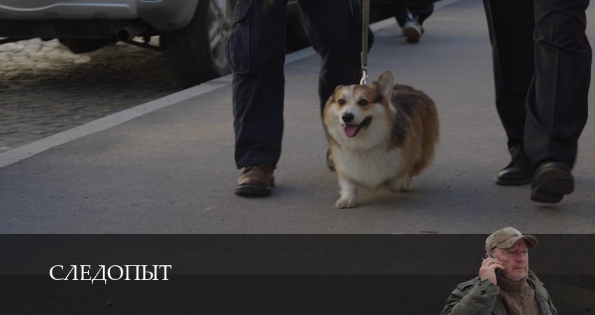 Следопыт (Сериал 2025) (2025) 1 сезон 9 серия смотреть онлайн без рекламы и регистрации