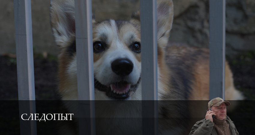 Следопыт (Сериал 2025) (2025) 1 сезон 14 серия полностью в хорошем качестве и бесплатно