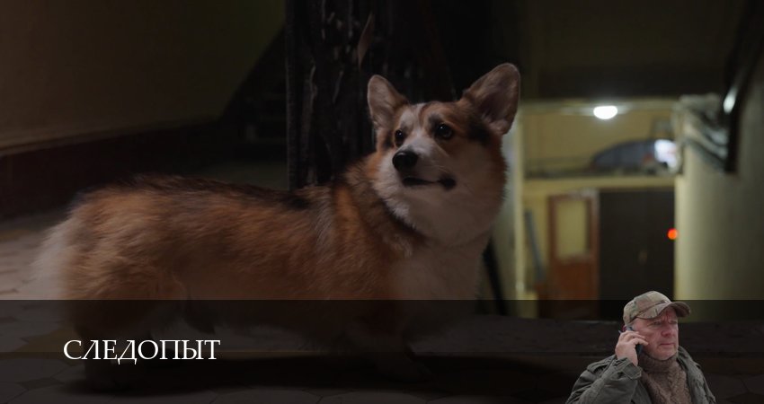 Смотреть Следопыт (Сериал 2025) 1 сезон 35 серия онлайн бесплатно без смс