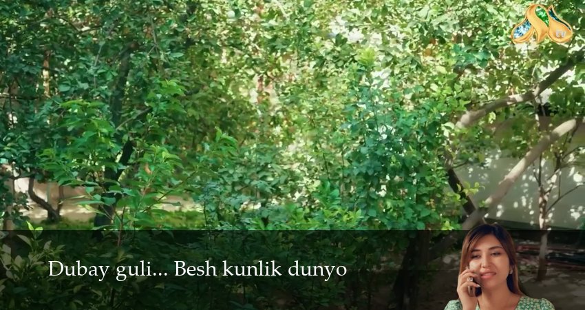 Dubay guli... Besh kunlik dunyo 1 сезон 5 серия все серии подряд онлайн бесплатно