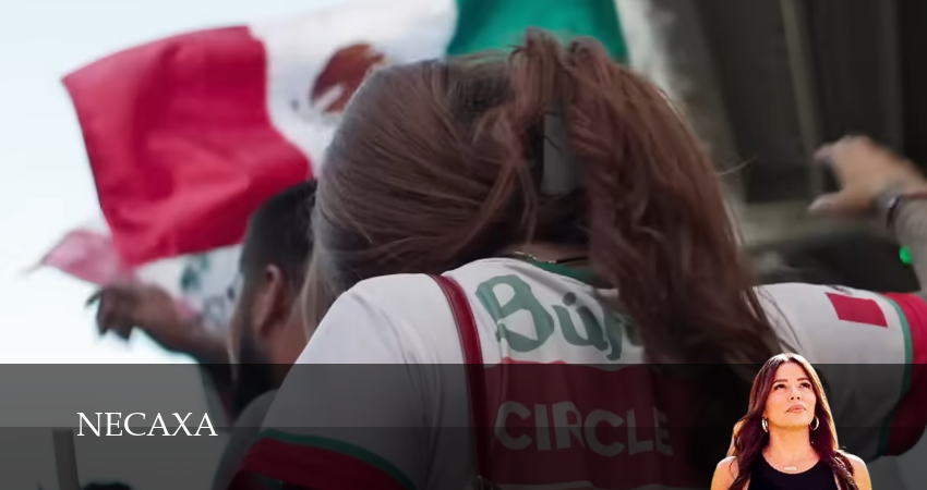 Сериал Некакса (1 сезон, 1 серия) смотреть онлайн бесплатно