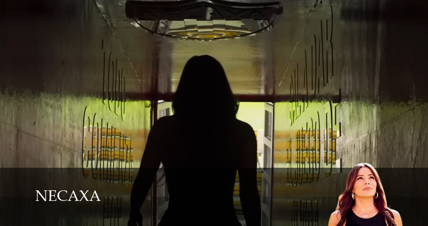 Сериал Некакса (1 сезон, 2025) смотреть онлайн бесплатно