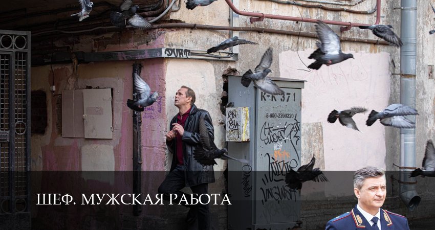 Смотреть сериал Шеф. Мужская работа 6 сезон 34 серия бесплатно и без рекламы