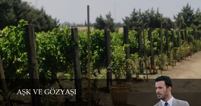 Сериал Любовь и слезы (1 сезон, 2025) смотреть онлайн бесплатно без рекламы