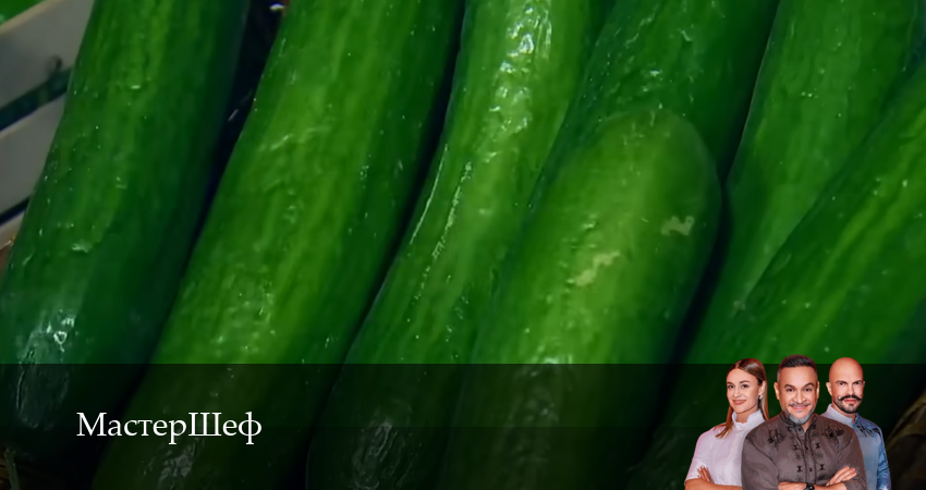 МастерШеф 16 сезон 12 серия смотреть онлайн на телефоне бесплатно