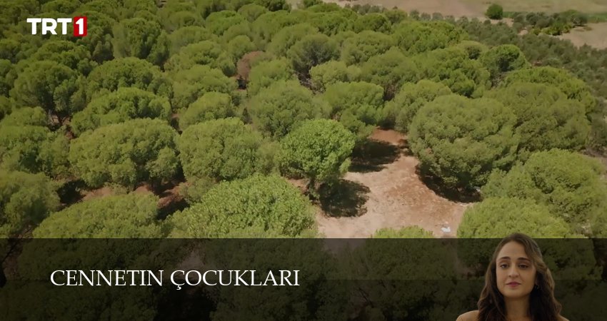 Дети рая (2025) 1 сезон 41 серия полностью смотреть бесплатно без рекламы