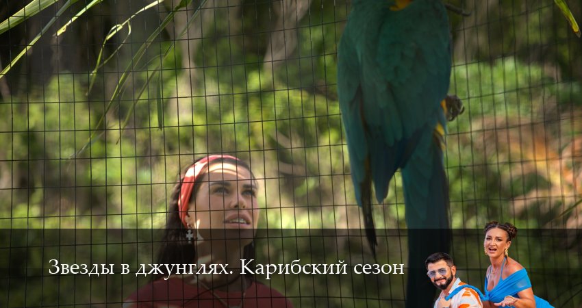 Звезды в джунглях (2025) 2 сезон 15 серия смотреть в HD 1080 без регистрации