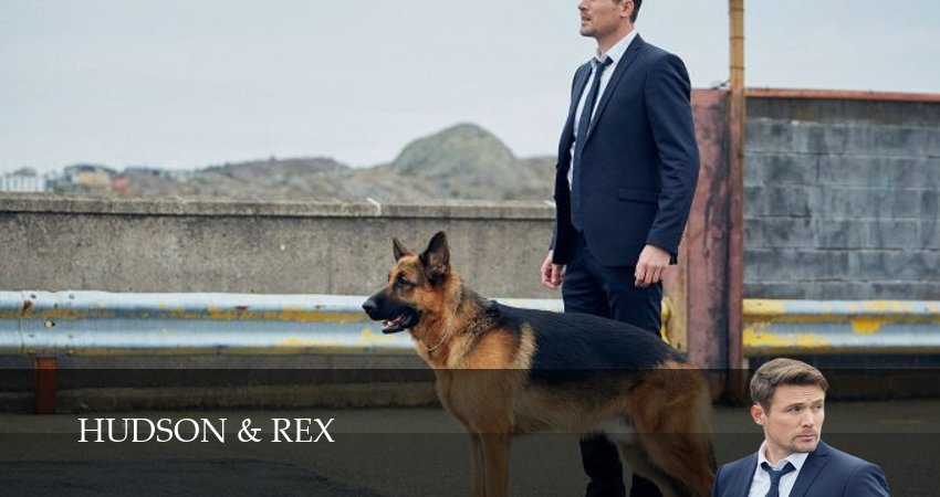 Сериал Хадсон и Рекс (8 сезон, 2025) смотреть онлайн бесплатно в хорошем HD качестве