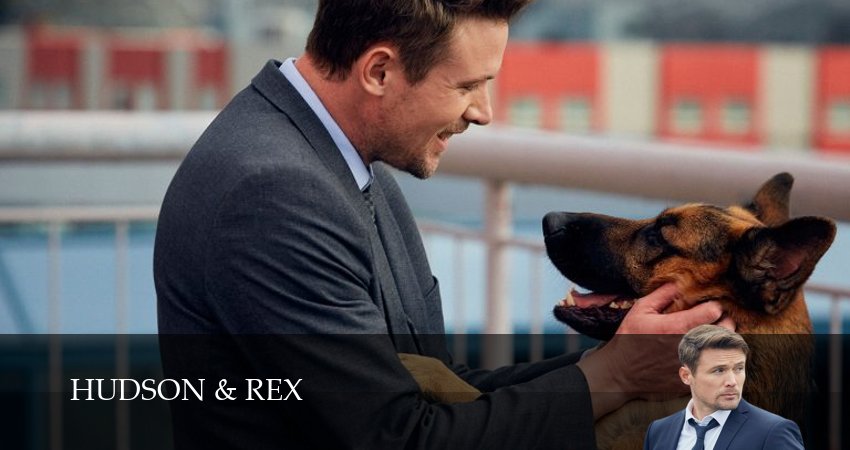 Хадсон и Рекс (8 сезон, 2025) смотреть онлайн без рекламы
