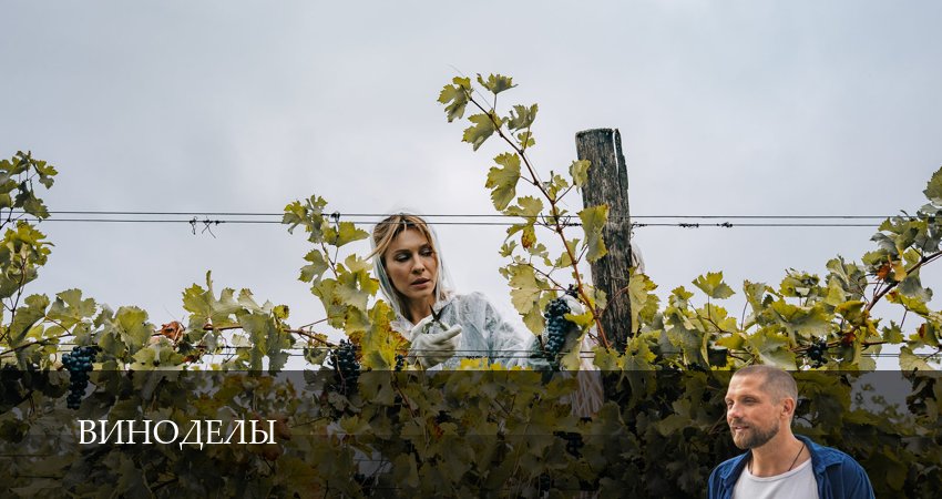 Смотреть сериал Виноделы (2025) 1 сезон 9 серия в хорошем качестве онлайн