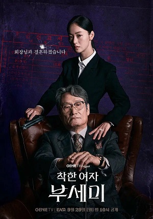 Все серии подряд сериала Мисс Инкогнито 1 сезон в высоком качестве бесплатно