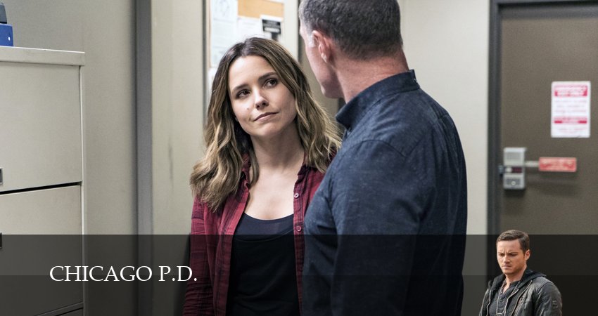 Полиция Чикаго (13 сезон, 15 серия) смотреть онлайн без рекламы
