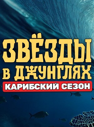 Звезды в джунглях 3-й сезон (2025) смотреть онлайн