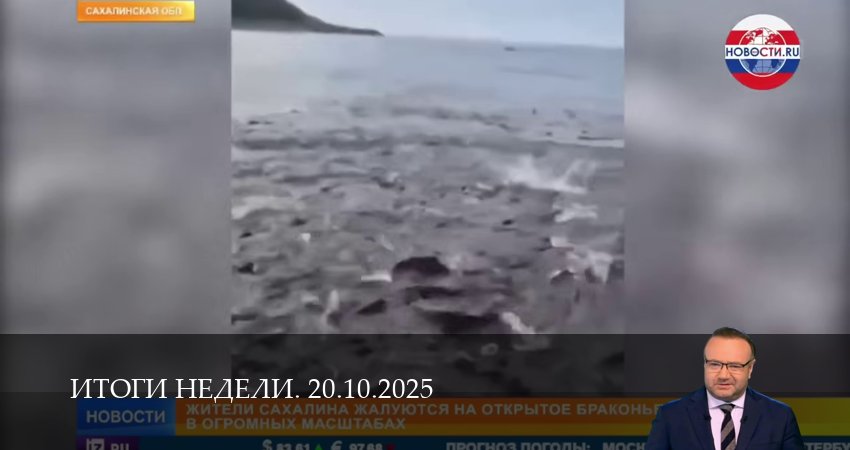 Сериал Итоги недели. Последний выпуск (1 сезон, 23 серия) смотреть бесплатно онлайн без рекламы