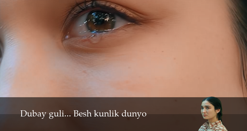 Сериал Dubay guli... Besh kunlik dunyo (2025) 2 сезон 2 серия смотреть онлайн в качество 1080 HD или 4K