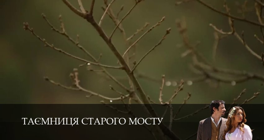 Смотреть сериал Таємниця Старого Мосту 1 сезон 185 серия в хорошем качестве HD