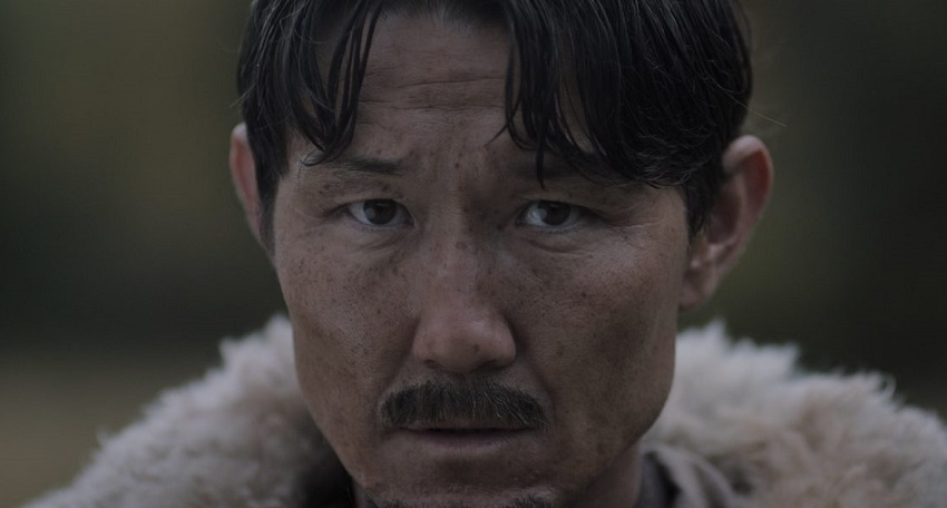 Cмотреть Фильм Волки (2024) (Россия) 2025 онлайн бесплатно