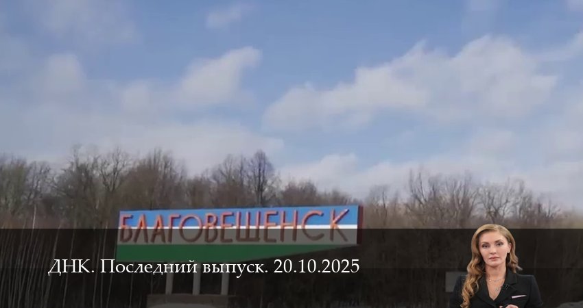 ДНК. Последний выпуск (1 сезон, 19 серия) смотреть онлайн бесплатно в хорошем качестве