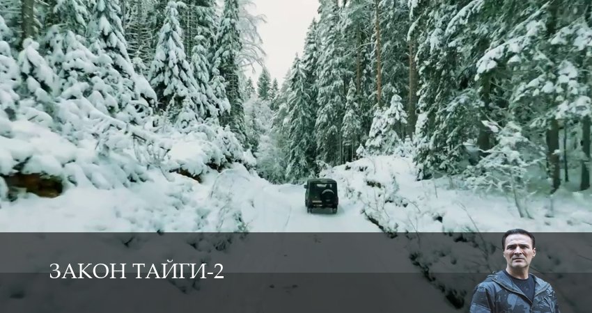 Закон тайги (2 сезон, 2025) смотреть онлайн бесплатно в хорошем качестве