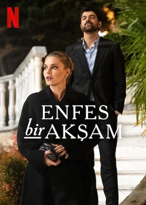 Восхитительный вечер 1 сезон, 1-20,21,22 серия (2025) смотреть онлайн