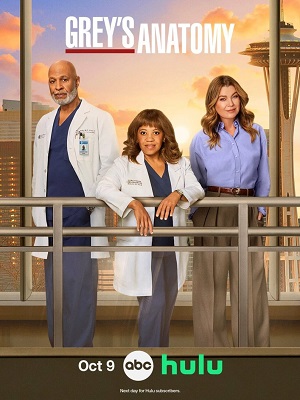 Анатомия страсти (Grey s Anatomy) - 22 Сезон 16 серия (2025)
