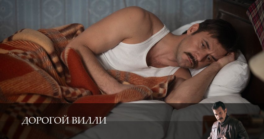 Дорогой Вилли (1 сезон) смотреть все серии | 2025