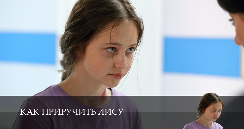 Как приручить лису - 1 Сезон 8 серия ? ютуб