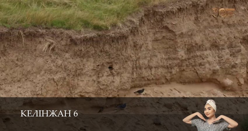 Келiнжан 6 (2025) 6 сезон 40 серия смотреть онлайн без рекламы и регистрации