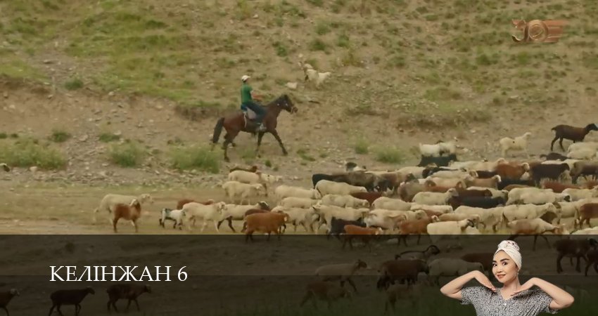 Сериал Келiнжан 6 (6 сезон, 54 серия) смотреть бесплатно онлайн без рекламы