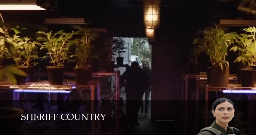 Сериал Шериф округа (1 сезон, 2025) смотреть бесплатно онлайн