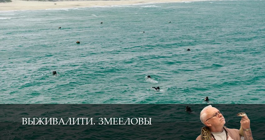 Сериал Выживалити. Змееловы (1 сезон, 7 серия) смотреть онлайн бесплатно в хорошем качестве