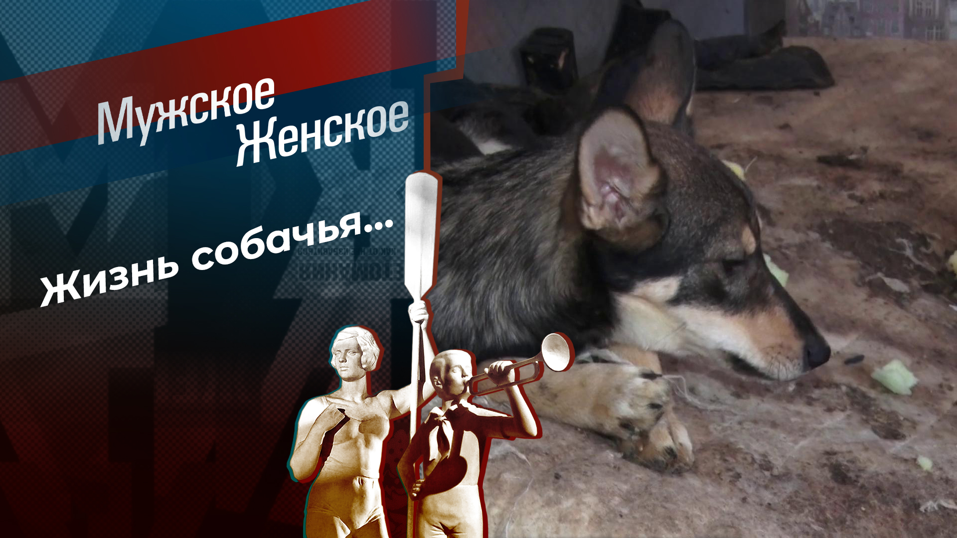 Мужское / Женское. Выпуск от 15.10.2025 фильм смотреть лордфильм